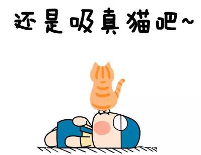 区块链之耻：8枚非法比特币买了1.3亿中国人合法信息